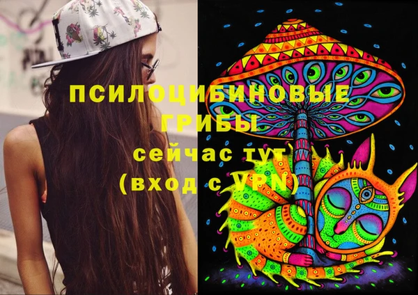 Альфа ПВП Арсеньев