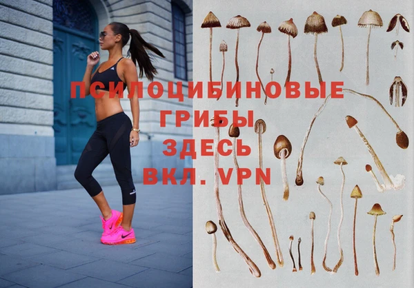 Альфа ПВП Арсеньев