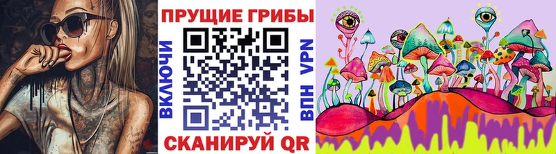 Псилоцибиновые грибы Psilocybine cubensis  Рузаевка 